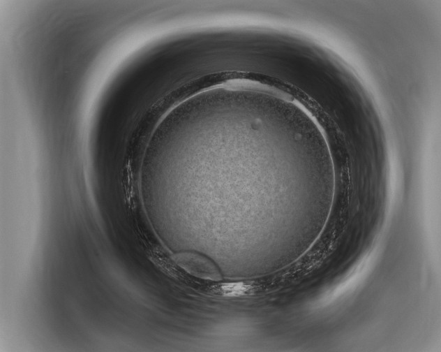 X0000114490050200910191239
