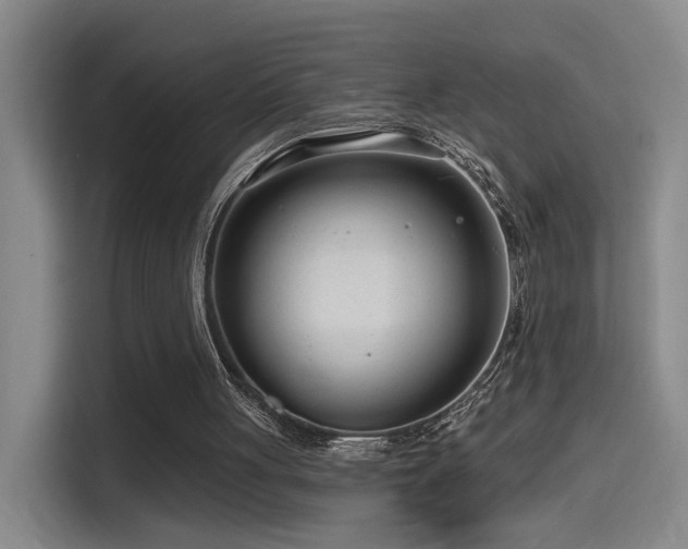 X0000114490051200910191239