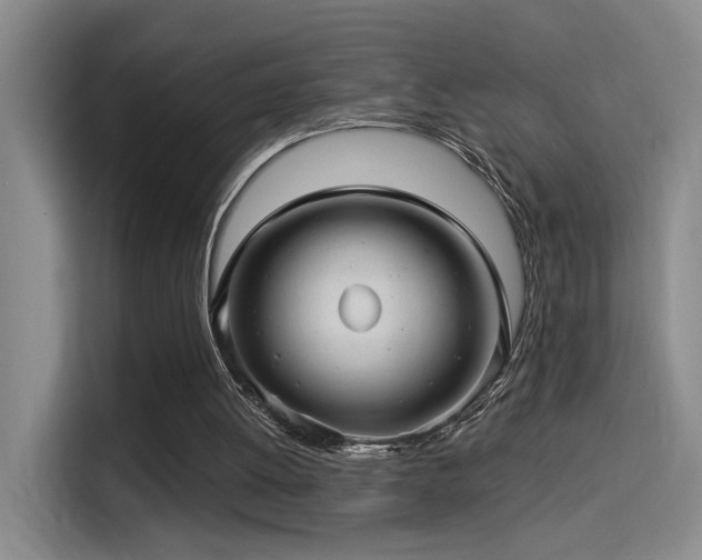 X0000114490052200910191239