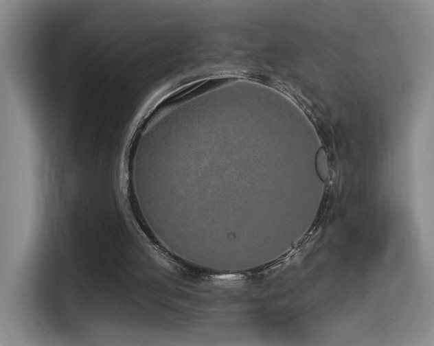 X0000114490053200910191239