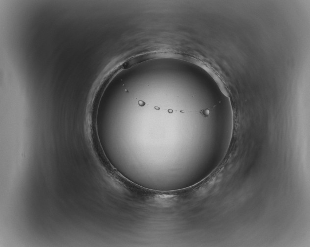 X0000114490055200910191239