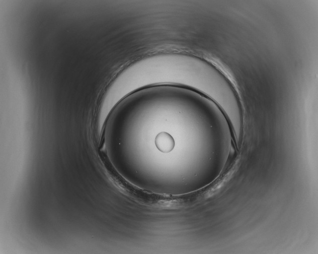 X0000114490057200910191239