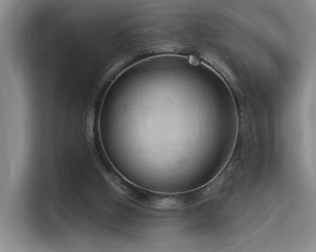 X0000114490058200910191239