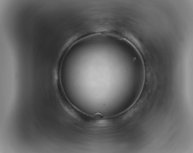 X0000114490059200910191239