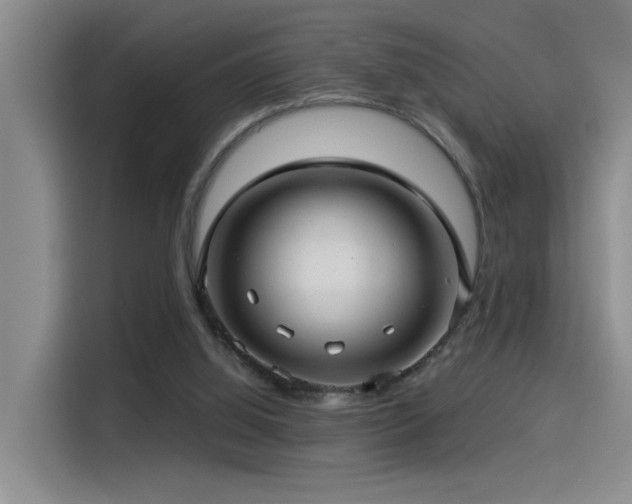 X0000114490060200910191239