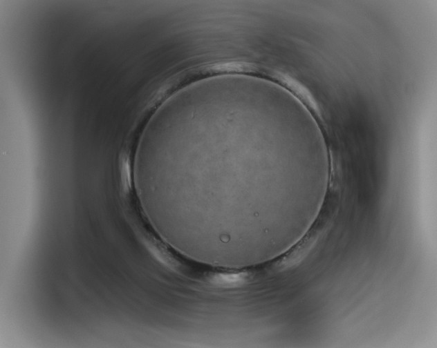 X0000114490061200910191239