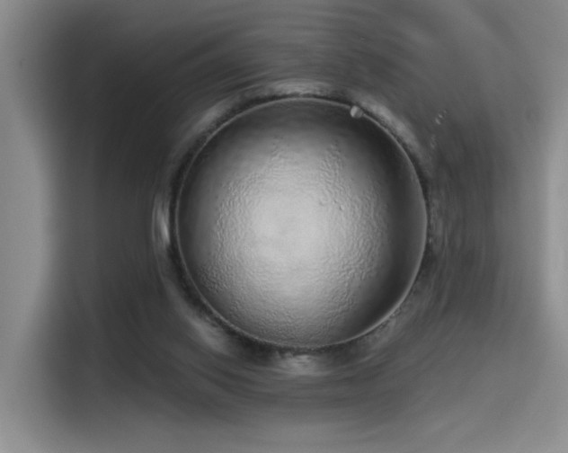 X0000114490062200910191239