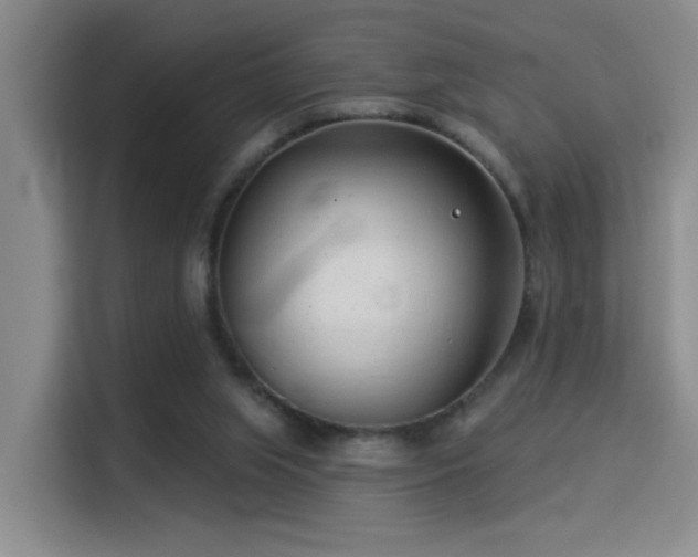 X0000114490063200910191239