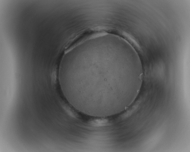 X0000114490065200910191239