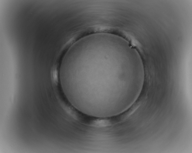 X0000114490067200910191239