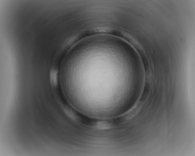 X0000114490070200910191239