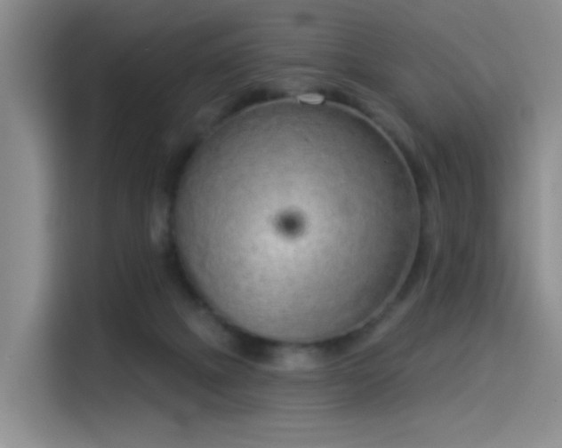 X0000114490073200910191239