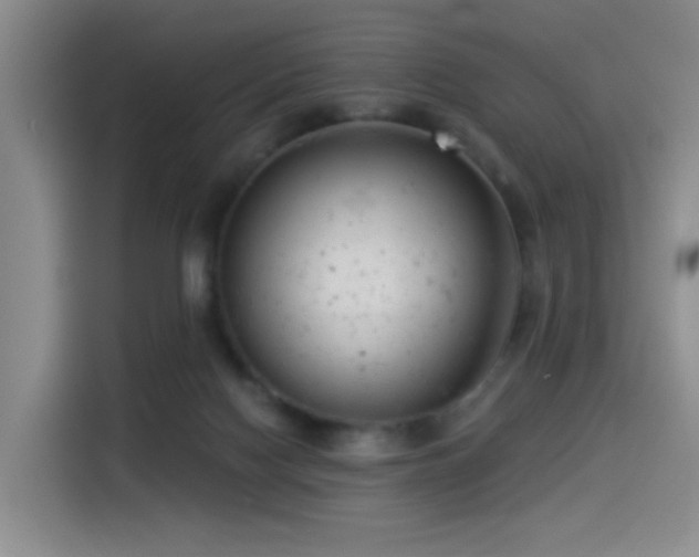 X0000114490074200910191239