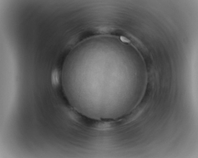 X0000114490075200910191239