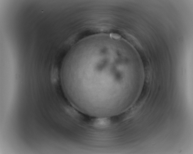 X0000114490077200910191239