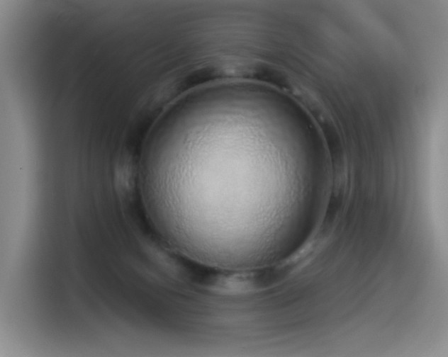 X0000114490078200910191239