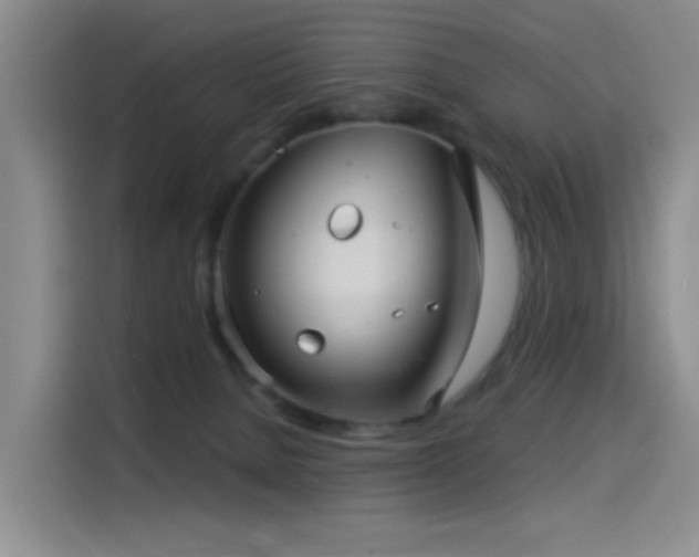 X0000114490080200910191239