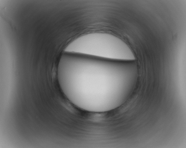X0000114490081200910191239