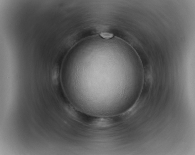 X0000114490082200910191239