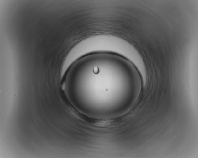 X0000114490084200910191239
