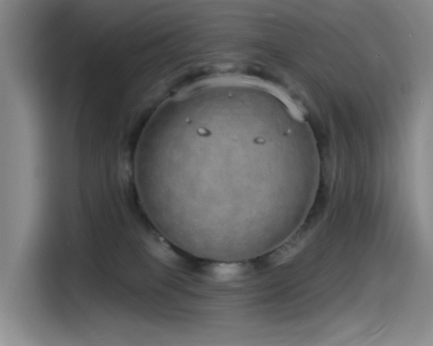 X0000114490085200910191239