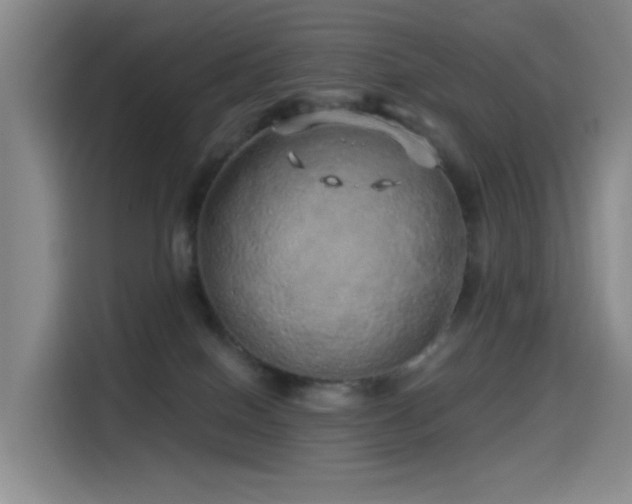 X0000114490086200910191239