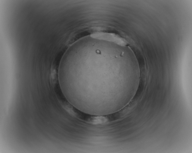 X0000114490087200910191239