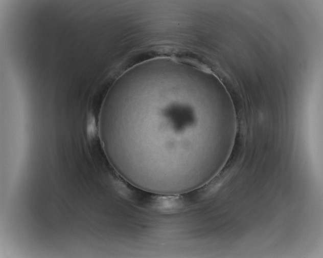 X0000114490089200910191239