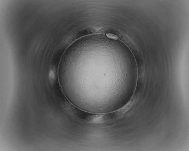 X0000114490090200910191239