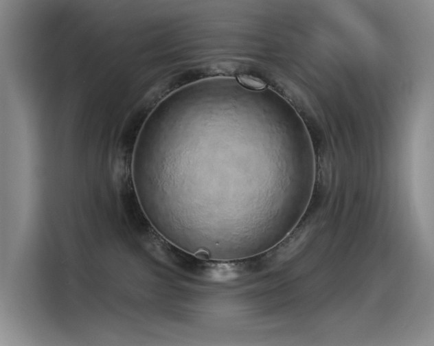 X0000114490091200910191239
