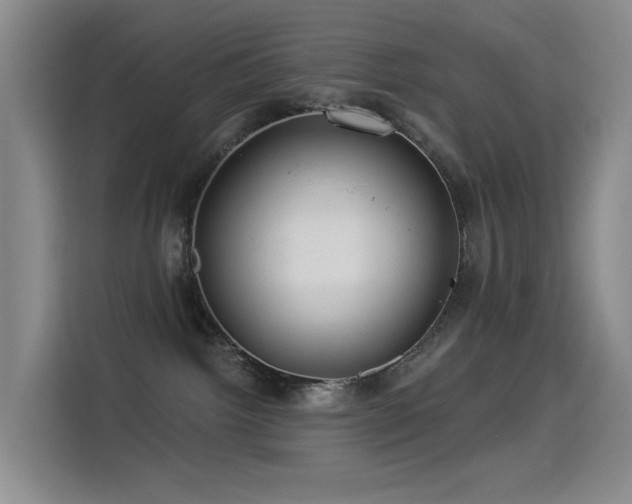 X0000114490092200910191239