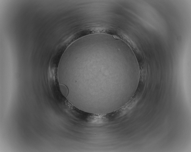 X0000114490093200910191239
