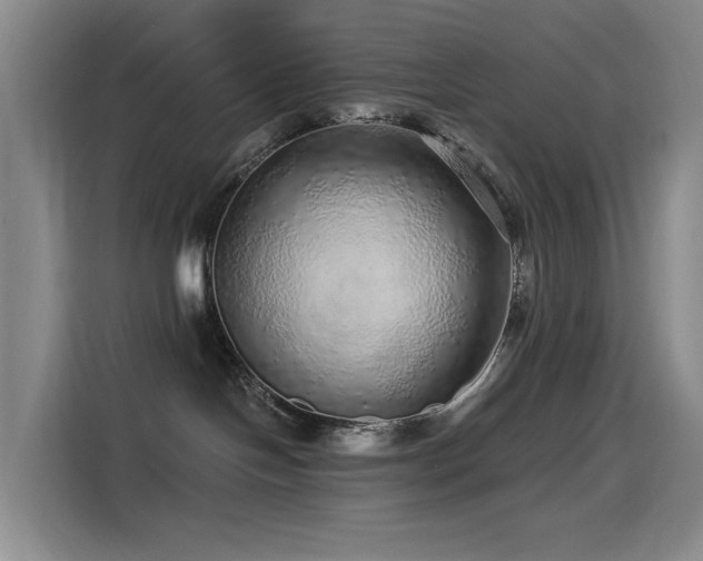 X0000114490094200910191239