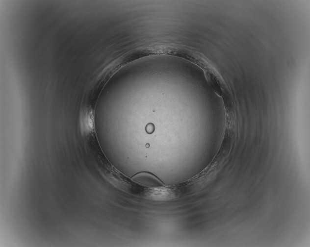X0000114490095200910191239