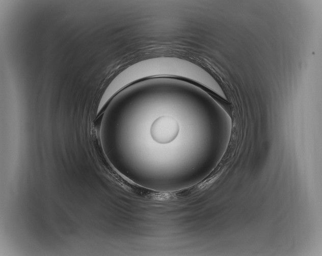 X0000114490096200910191239
