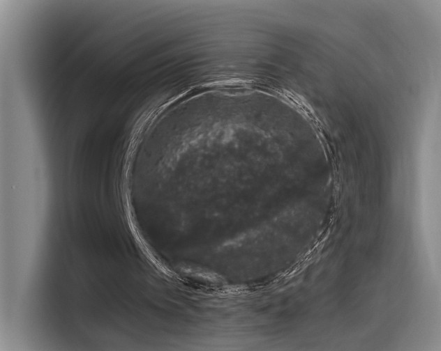 X0000114490097200910191239