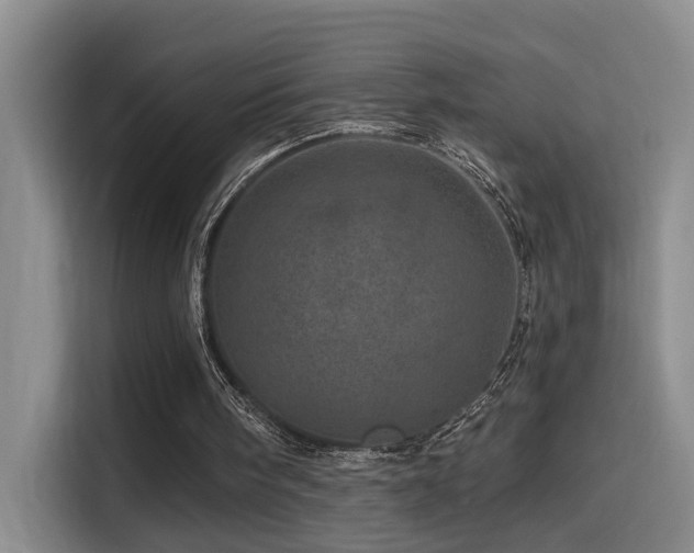 X0000114490098200910191239