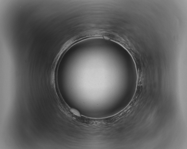 X0000114490099200910191239