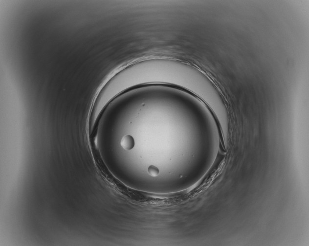 X0000114490100200910191239