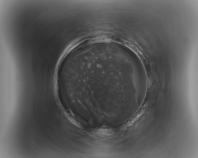 X0000114490101200910191239
