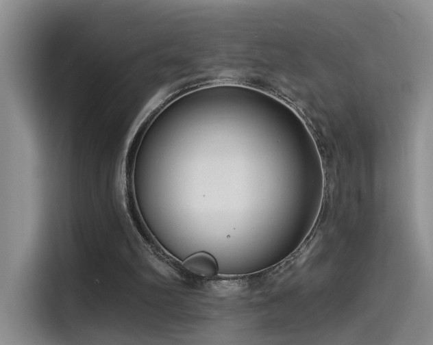 X0000114490102200910191239