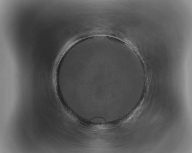 X0000114490103200910191239