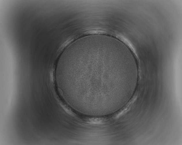 X0000114490105200910191239