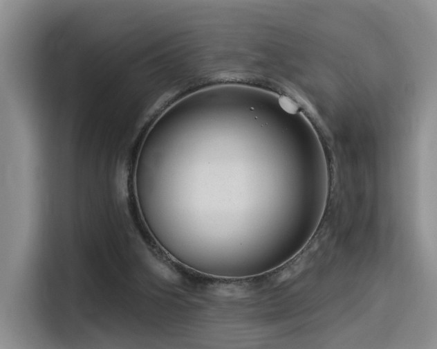 X0000114490106200910191239