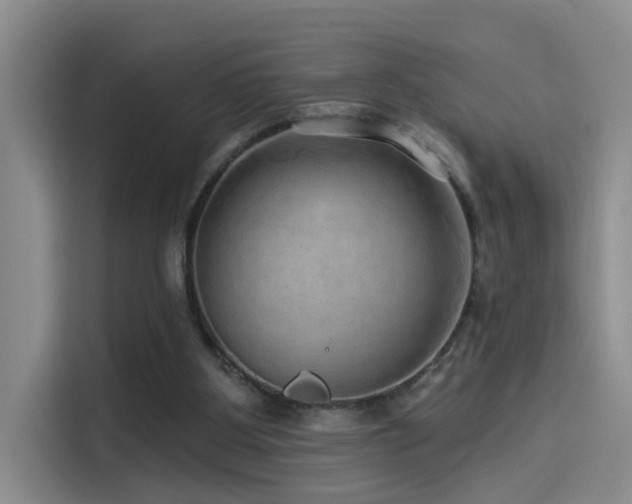 X0000114490107200910191239