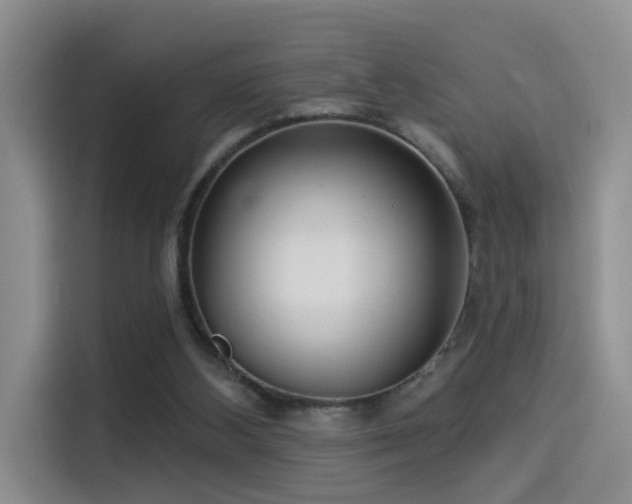 X0000114490108200910191239