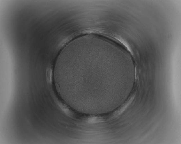 X0000114490109200910191239