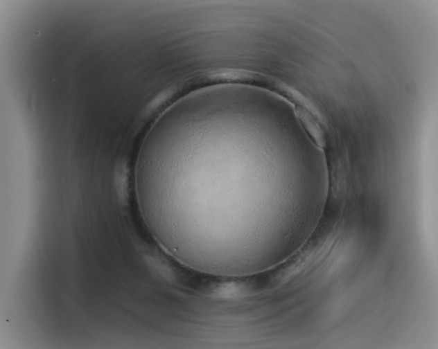 X0000114490111200910191239