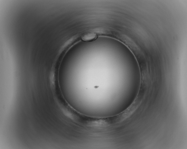 X0000114490112200910191239