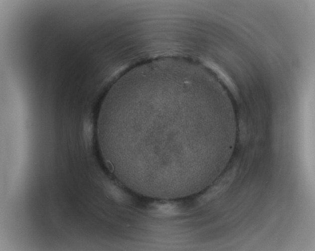 X0000114490113200910191239